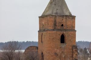 Праздник всех времен и народов: с Днем Защитника Отечества!