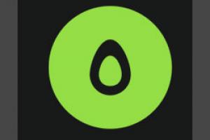 Графический редактор Avocode для frontend-разработчика