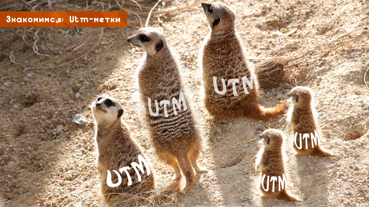 Знакомимся: utm-метки